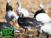 SX Full Body Adult Blue Goose Decoy- 10 Pack SX Full body Adult blue goose decoy