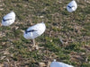 Snow goose windsock decoy