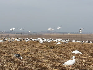 reel wings flying snow goose decoy